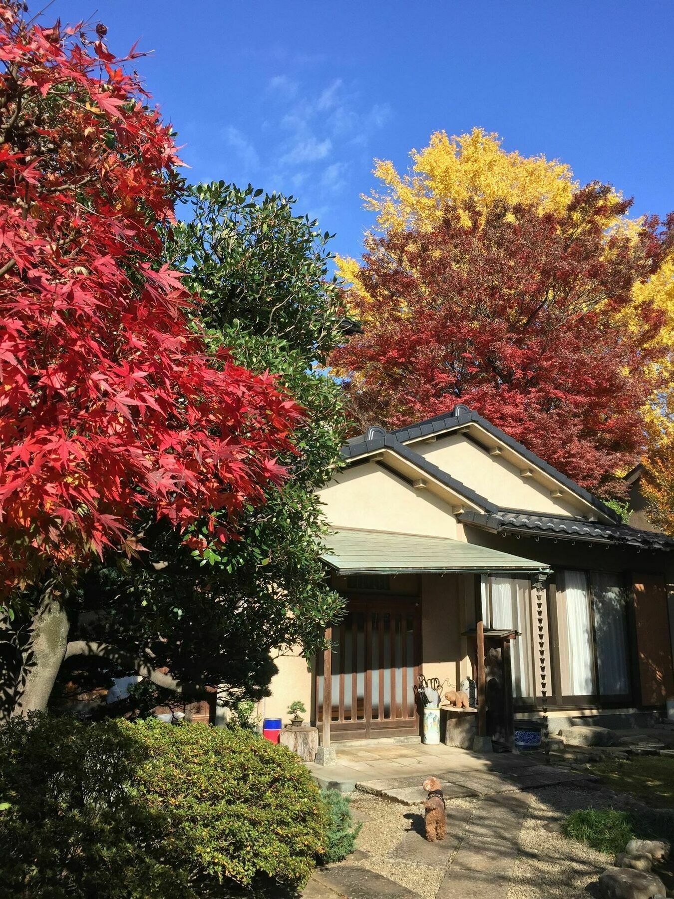 Mokkoan Tōkyō