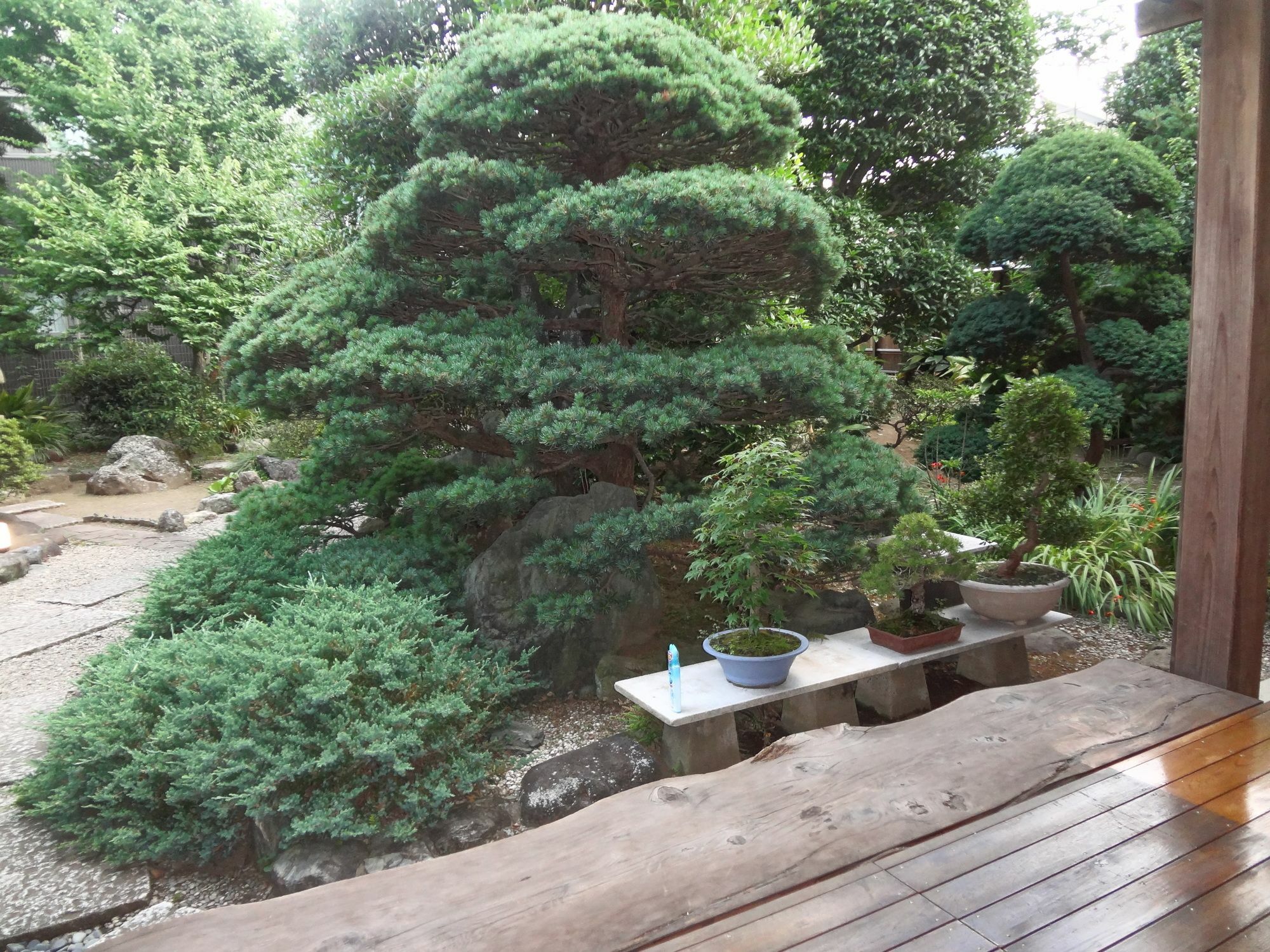 Maison d'hôtes Mokkoan Tōkyō